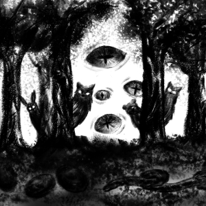 http://www.vision1964.com/files/dimgs/thumb_1x300_4_18_371.jpg