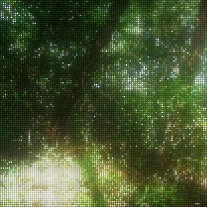 http://www.vision1964.com/files/dimgs/thumb_1x300_4_24_369.jpg