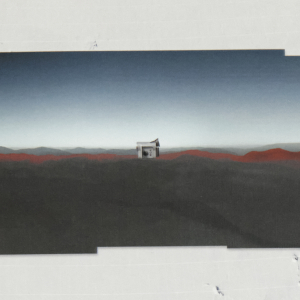 http://www.vision1964.com/files/dimgs/thumb_1x300_7_103_855.jpg