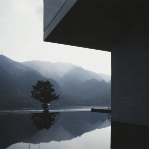 http://www.vision1964.com/files/dimgs/thumb_1x300_7_124_780.jpg