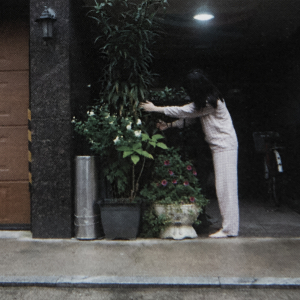 http://www.vision1964.com/files/dimgs/thumb_1x300_8_173_1111.jpg